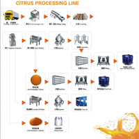 Ligne de traitement complète personnalisée des agrumes pour la fabrication de jus concentré, purée, écorces et huile