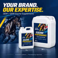 Complément liquide pour chevaux OEM ODM avec fer et vitamines B pour l'énergie, l'endurance et la récupération post-exercice des chevaux de course 5L