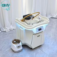 Bac de Lavage Capillaire Portable de Luxe sans Tuyau pour Salon de Coiffure, avec Seau d'Eau Usée 30L et Réservoir d'Eau Chaude 60L