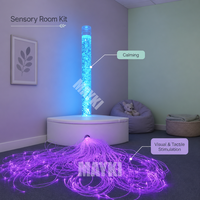 Kit LED de Fibre Optique Thérapeutique pour l'Exploration Tactile et la Stimulation Sensorielle, avec Éclairage Scintillant pour Cliniques de Réadaptation