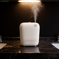 Diffuseur d'arômes mural à piles AE109 150 ml, nébuliseur à air froid, système de diffusion de parfum pour hôtels, salles de bain commerciales et usines
