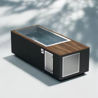 PROELIFE Spa en bois moderne pour 2 personnes, avec revêtement en acier inoxydable, design rectangulaire autoportant, 10 jets, idéal pour piscine et intérieur