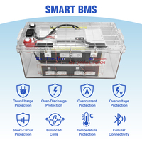 Batterie au lithium-ion Lifepo4 12V 24V 48V 50Ah 100Ah 200Ah 300Ah, solution d'énergie alternative