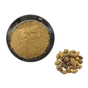 Wholesale Haritaki Extract Powder 10:1Terminalia Chebula Extract Powder