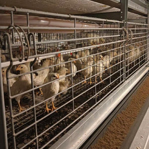 Haute qualité 2.0mm d'épaisseur H Type poulet couche d'isolation Cage petit <span class=keywords><strong>poulailler</strong></span> fabriqué en Chine pour un usage agricole - Product Image 5