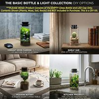 Terrarium cylindrique étroit SHIZI pour plantes carnivores avec éclairage LED à CRI 95 élevé pour Venus Flytrap Moss Factory Vendor