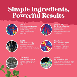 Cápsulas de Fertilidad Femenina Más Vendidas, Suplemento Natural para la Concepción y el Ciclo, Vitaminas para la Fertilidad Femenina, Cápsulas de Folato - Product Image 4