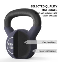 Kettlebell de musculation à domicile en fonte grise de 12 kg avec revêtement en néoprène