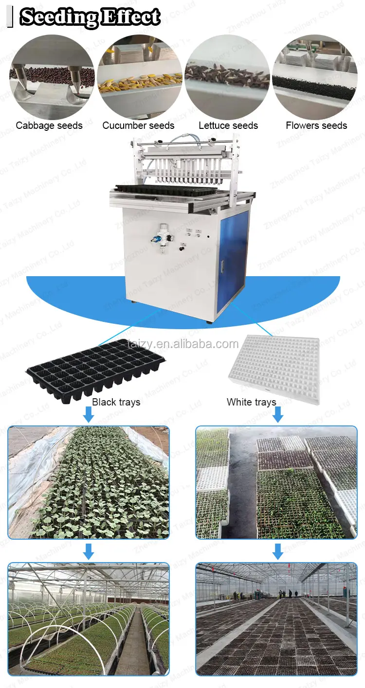 automatic seed planting machine trays seed planting machine nursery seeding machine with CE