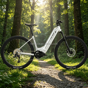 EC2 Low Step 48V20Ah Central Motor Electronic Mid Drive <b>Bike</b> 27.5" City Ebike 750W Urban Trekking & <b>Light</b> Off Road EC2(U4000/9S+ - Product Image 4