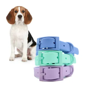 New Style Colour ful Soft Pet Training Hunde halsband wasserdichtes PVC-Gurtband benutzer definierte Farbe Outdoor-Reise bequeme Hunde kette