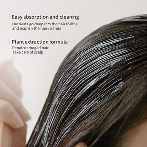 Fábrica personalizada al por mayor 800g anti pérdida de cabello membrana del cabello esponjosa limpieza profunda reparación de jengibre membrana del cabello - Product Image 5