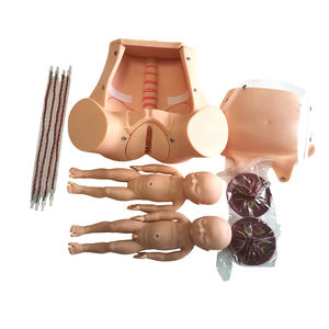 Model Pengajaran Persalinan Lanjutan, Model Pengiriman Janin dengan Tali Pusar dan Plasenta - Product Image 2