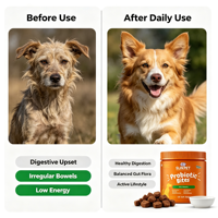 Compléments nutritionnels pour animaux de compagnie Replenza Nutrition avec probiotiques et enzymes pour soutenir la digestion en OEM/ODM