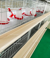 Cage pour Poulets de Chair 3/4 Étages 60-80 Oiseaux Type H Équipement de Batterie Galvanisé Cages à Poulets de Chair pour Élevage Avicole à Domicile