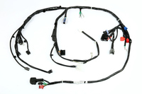 Harnais Hooha IATF16949 pour assemblage personnalisé, faisceau de câbles ATV, isolation PBT UL1007, cuivre nu, connecteur automobile 12V, 2M