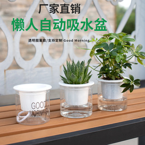 Maceta hidropónica transparente de plástico con absorción automática de agua para plantas verdes de escritorio, jardinería en casa - Product Image 3