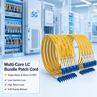 Kabel Patch Fiber Optik Aktif LC/UPC Bundle Multi-Core SM LSZH dengan Jumlah Inti yang Dapat Disesuaikan untuk Jaringan Akses FTTH 1m-100m