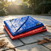 Bâche de protection imperméable, résistante aux déchirures, anti-UV, coupe-vent, 100% polyéthylène PE enduit, pour camping, toiture, abri, stockage