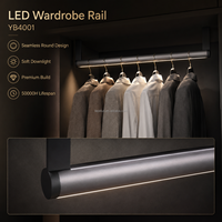 Profilé LED pour éclairage de placard, armoire, étagère, éclairage linéaire en aluminium basse tension, longueur personnalisée YBYGTZ-22