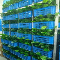 En gros, fausse herbe aquatique nordique au toucher naturel, bouquet artificiel pour centre de table de restaurant, accessoires floraux de décoration intérieure, Planta