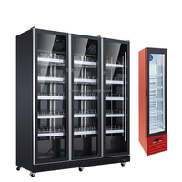 Vitrine Réfrigérée Double Température à Refroidissement par Air pour Boissons, Dégivrage Automatique Intégré, Rouge, pour Supermarché, Numérique