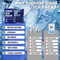Packs de glace sèche personnalisés avec logo pour aliments, portables et jetables, et packs de glace en gel avec logo personnalisé pour aliments congelés