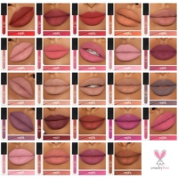 Rouge à lèvres liquide mat vegan au design nouveau, haute pigmentation, longue tenue et imperméable, 24 couleurs, option de logo personnalisé, faible MOQ