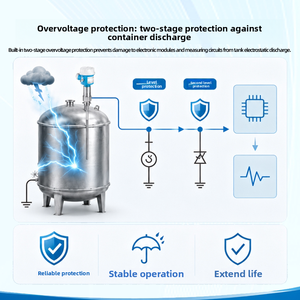 Interruptor de Nivel Capacitivo Serie FTI de E+H Endress+Hauser con Compensación Automática de Adhesión, Instrumento Original de Fábrica de Alta Calidad China - Product Image 5