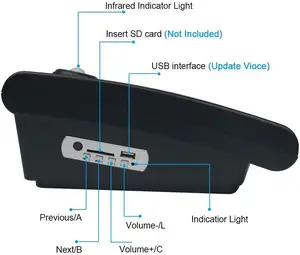 Haut-parleur puissant 10W Halloween maisons fantômes infrarouge corps humain Activation par Induction lecteur sonore effrayant