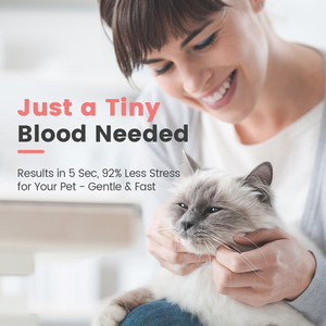 Système de surveillance de la <span class=keywords><strong>glycémie</strong></span> pour animaux domestiques, testeur de <span class=keywords><strong>glycémie</strong></span> vétérinaire pour chat et chien, lecture rapide en 5 secondes, dispositif de test pour animaux diabétiques - Product Image 4
