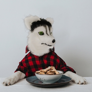 Máscara de Látex de Perro <span class=keywords><strong>Husky</strong></span> Siberiano para Halloween y Navidad, Disfraz Novedoso para Fiestas, Máscara Peluda con Pelo, Máscaras Aterradoras - Product Image 6