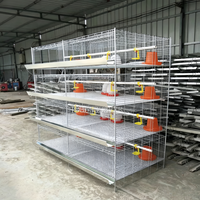 Système de cages à cailles galvanisées à plusieurs niveaux, cage d'élevage automatique pour pigeons, cages de couvaison pour volailles