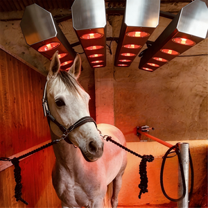 Solárium de Terapia Infrarroja Equina, Sistema de Terapia de Luz Roja para Caballos, Calentador para Recuperación Muscular, Equipo de Secado para Establos de Caballos - Product Image 1