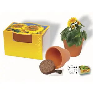 Pot de tournesol en terre cuite, gadgets écologiques - Product Image 1
