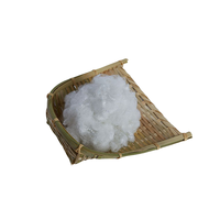 Fibre discontinue de polyester Hanbang 7D 64mm, creuse, conjuguée, non siliconée, haute blancheur, anti-boulochage, antistatique, recyclable