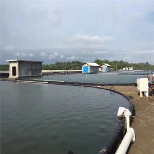 1,0mm 1,5mm Hdpe Geomembrana lago presas construir embalses presa Anti-UV Liner para Playa Sol sal - Product Image 3