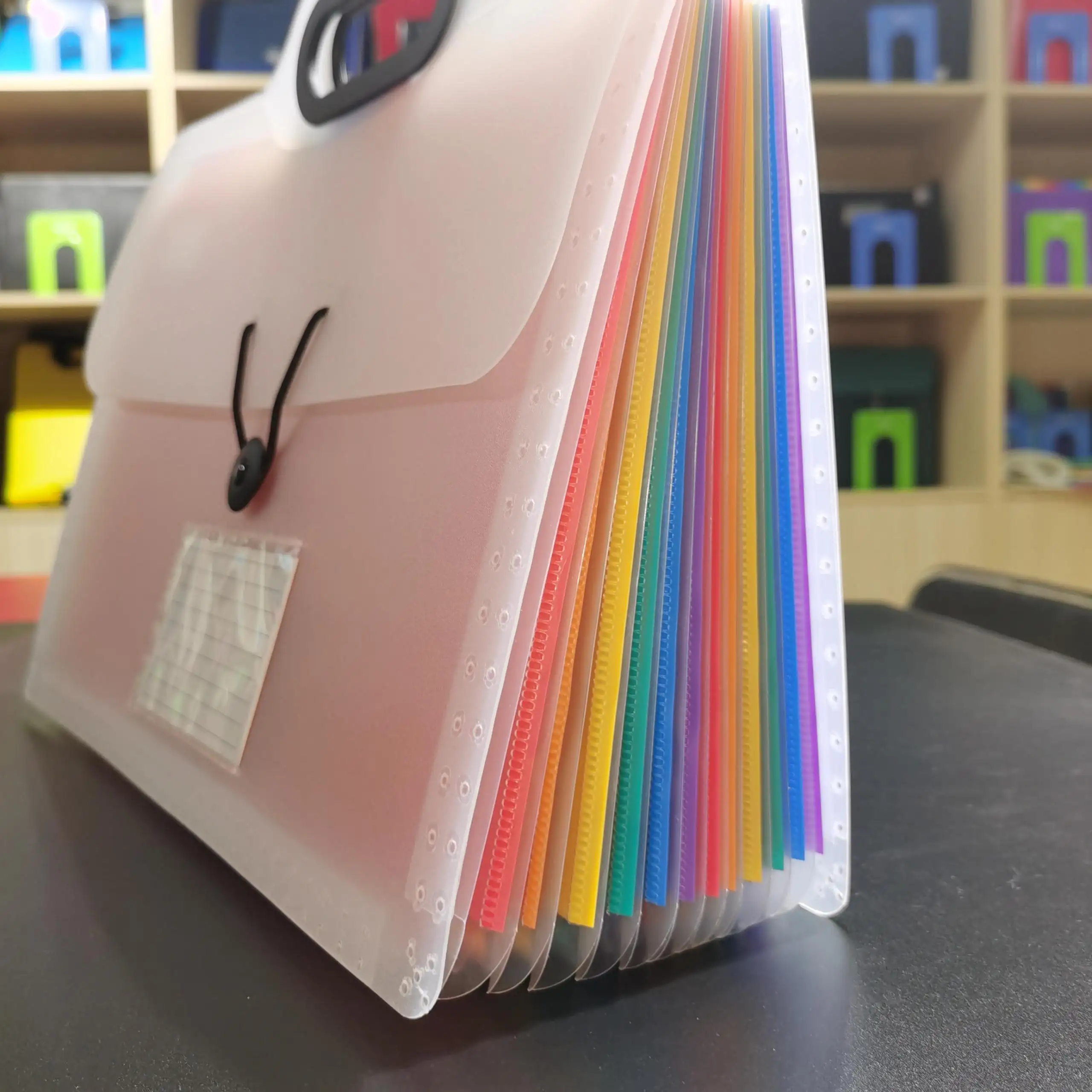 Cartella a fisarmonica colorata da 26 tasche con manico personalizzato per ufficio Pp A4 in plastica per documenti
