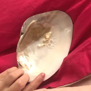 Coquille de perles naturelles polissées, 1 pièce de 15-18cm, coquille en nacre d'eau douce, mère de perle pour l'artisanat de bricolage