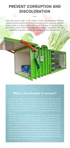 果物と野菜の真空クーラー事前冷却機500kgs処理能力真空冷却機