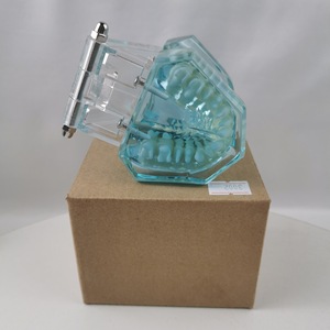 Modelo de diente de práctica con soporte de cerámica M3002 para entrenamiento dental y de ortodoncia, uso doméstico, paquete individual - Product Image 3