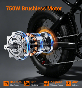 Vélo électrique à pneus larges haute vitesse 35 km/h, 750 W de puissance, 1100 W de crête, 48 V 13 Ah, pneus 20*4.0, frein à disque hydraulique, vélo tout-terrain électrique à vendre - Product Image 2