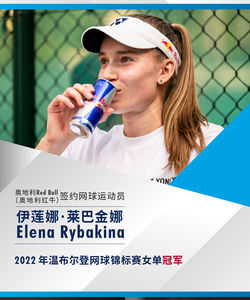 RedBull Original Low Sugar Sports Energy Drink Botella sin azúcar importada austriaca con sabor a vitamina taurina - Product Image 6