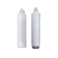 10 pouces 0.04 microns PES Membrane filtre à eau filtre endotoxine PES Membrane cartouche filtrante plissée avec DOE/222/226