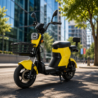 Pour motos sportives, moto électrique 48V, vitesse maximale de 40 km/h, tout-terrain