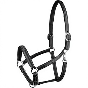 Accesorios Completos: Juego de Cuerdas y Cabestros para Caballos, Ponis Pequeños y Grandes, Suministros Ecuestres de Nylon, Estilo Silla de Montar Western - Product Image 1