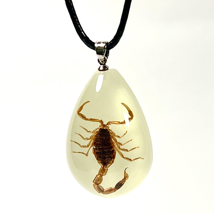 Scorpion jaune argenté