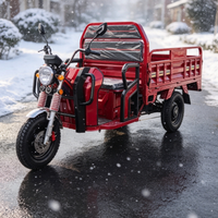 Tricycle électrique homologué CEE, capacité de charge 585 kg, caisse de chargement 1600x1175x550 mm, homologué en Europe, moteur 72V 1500W