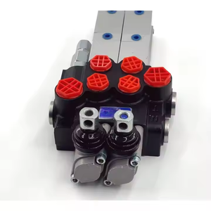 Válvula de Control Neumático Hidráulico P40 para Cilindros de Doble Acción |   Fabricante y Proveedor Global de Válvulas de Control Direccional - Product Image 3