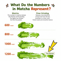 Poudre de Matcha Biologique de Qualité Cuisine pour la Cuisson, la Pâtisserie et les Desserts, Certifiée USDA et UE, Vente en Gros en Vrac, Qualité AAA